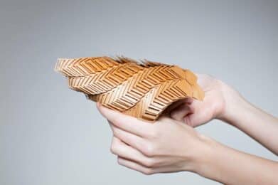 MINTA_OrsiOrban_3d-Entwurf