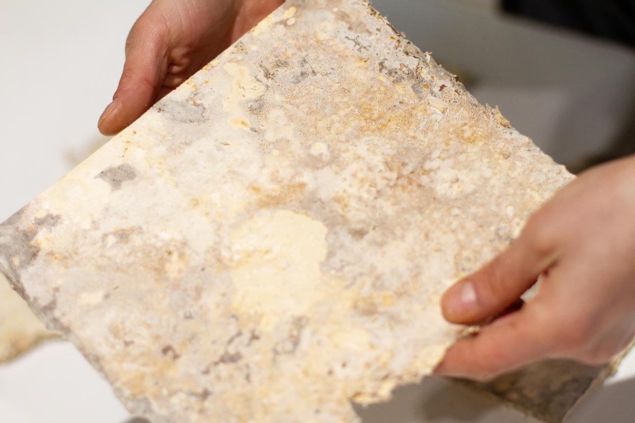 This is mycelium, a sustainable material made out of mushrooms.