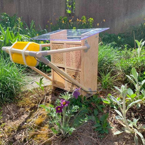 The first live tests of SPAIA's insect monitoring system.