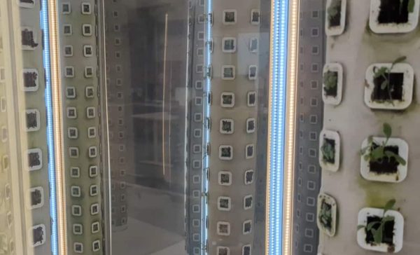 Lite-fog_fogponics_agriculture-technology