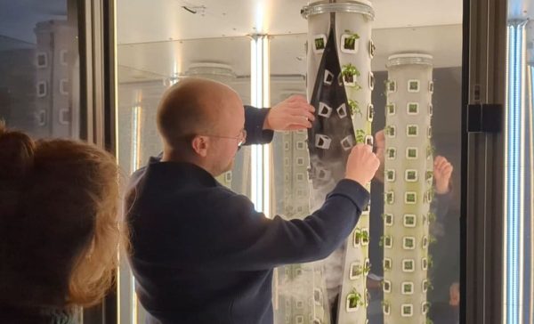 This is Lite&Fog and their innovation for a more sustainable future in agriculture using fogponics.